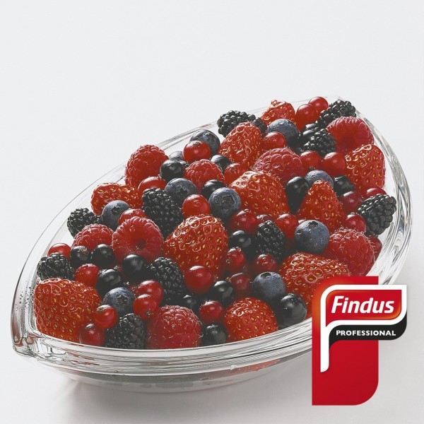 Frutas Del Bosque Findus 6X1Kg.