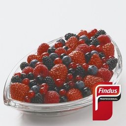 [96010104] Frutas Del Bosque Findus 6X1Kg.
